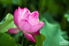 網(wǎng)站建設株洲